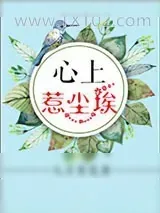 《心上惹尘埃》小说封面