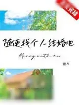《随便找个人结婚吧》小说封面