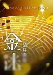 《金迷》小说封面