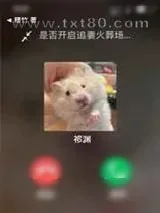 《虐文霸总穿成女主的仓鼠后》小说封面