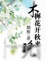 《木樨花开秋来晚》小说封面