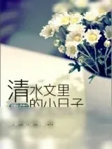 《重生清水文里的小日子》小说封面