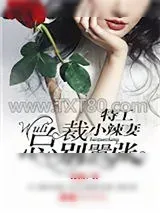 《特工小辣妻：wuli总裁别嚣张！》小说封面