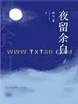《夜留余白》小说封面