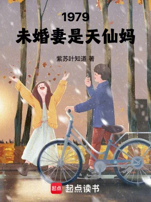 《1979：未婚妻是天仙妈》小说封面