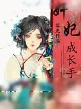 《奸妃成长手册》小说封面