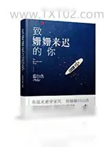 《致：姗姗来迟的你》小说封面