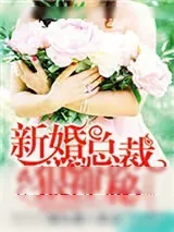 《新婚总裁狠神秘》小说封面