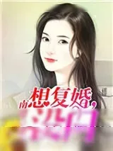 《想复婚,没门》小说封面