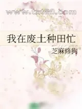 《我在废土种田忙》小说封面