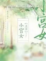 《小宫女[美食]》小说封面