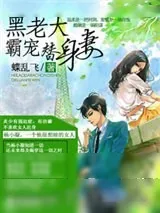 《黑老大霸宠替身妻》小说封面