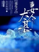 《重生之妻人太甚》小说封面
