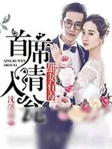 《甜妻有毒:首席请入瓮》小说封面