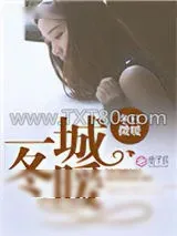 《一城冬暖》小说封面