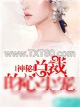 《神秘总裁的心尖宠》小说封面