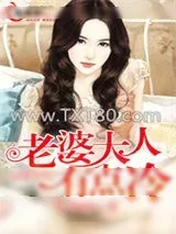 《老婆大人有点冷》小说封面