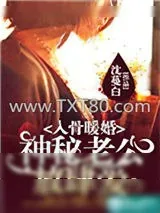 《入骨暖婚:神秘老公放肆爱》小说封面