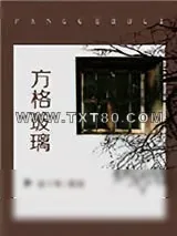 《方格玻璃》小说封面