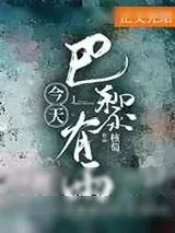 《今天巴黎有雨》小说封面