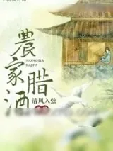 《农家腊酒》小说封面