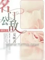 《重生之名门公敌》小说封面