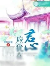 《君心应犹在》小说封面