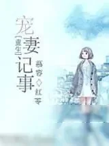 《重生宠妻记事》小说封面