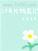 《六十年代饥荒记》小说封面