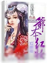 《红颜劫：爷本红妆》小说封面