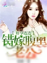 《好孕连连：错嫁腹黑老公》小说封面