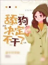 《小梦决定不干了》小说封面