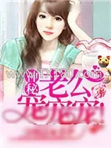 《神秘老公，宠宠宠！》小说封面