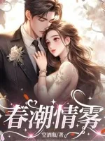 《春潮情雾》小说封面