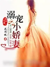 《钻石闪婚之溺宠小娇妻》小说封面