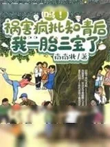 《呜！祸害疯批知青后我一胎三宝了》小说封面