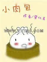 《小肉包》小说封面