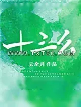 《十三幺》小说封面