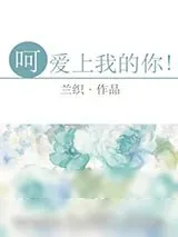 《呵,爱上我的你!》小说封面