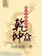 《傅家金龙传奇之乾坤盒》小说封面