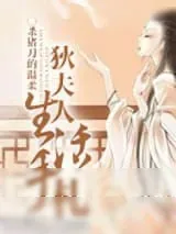 《狄夫人生活手札》小说封面