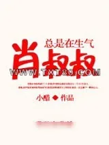 《肖叔叔总是在生气》小说封面