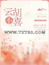 《云胡不喜》小说封面