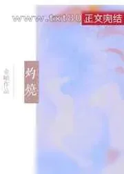 《灼烧》小说封面