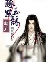 《琢玉点酥（赌石）》小说封面