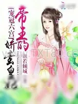 《宠冠六宫:帝王的娇蛮皇妃》小说封面