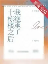 《我继承了十栋楼之后》小说封面