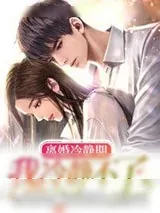 《离婚冷静期我冷静不了》小说封面