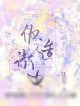 《伪造淑女》小说封面