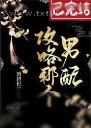 《攻略那个男配[穿书]》小说封面